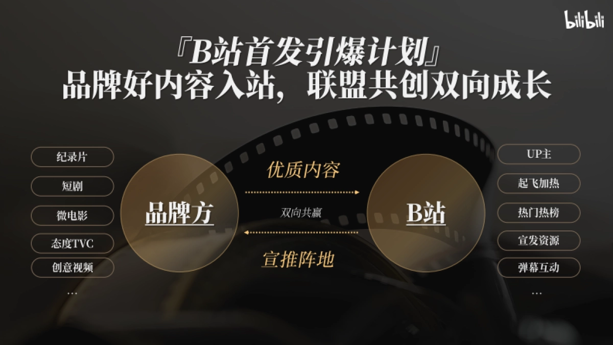 2025哔哩哔哩好内容首发引爆计划营销解决方案_第5页