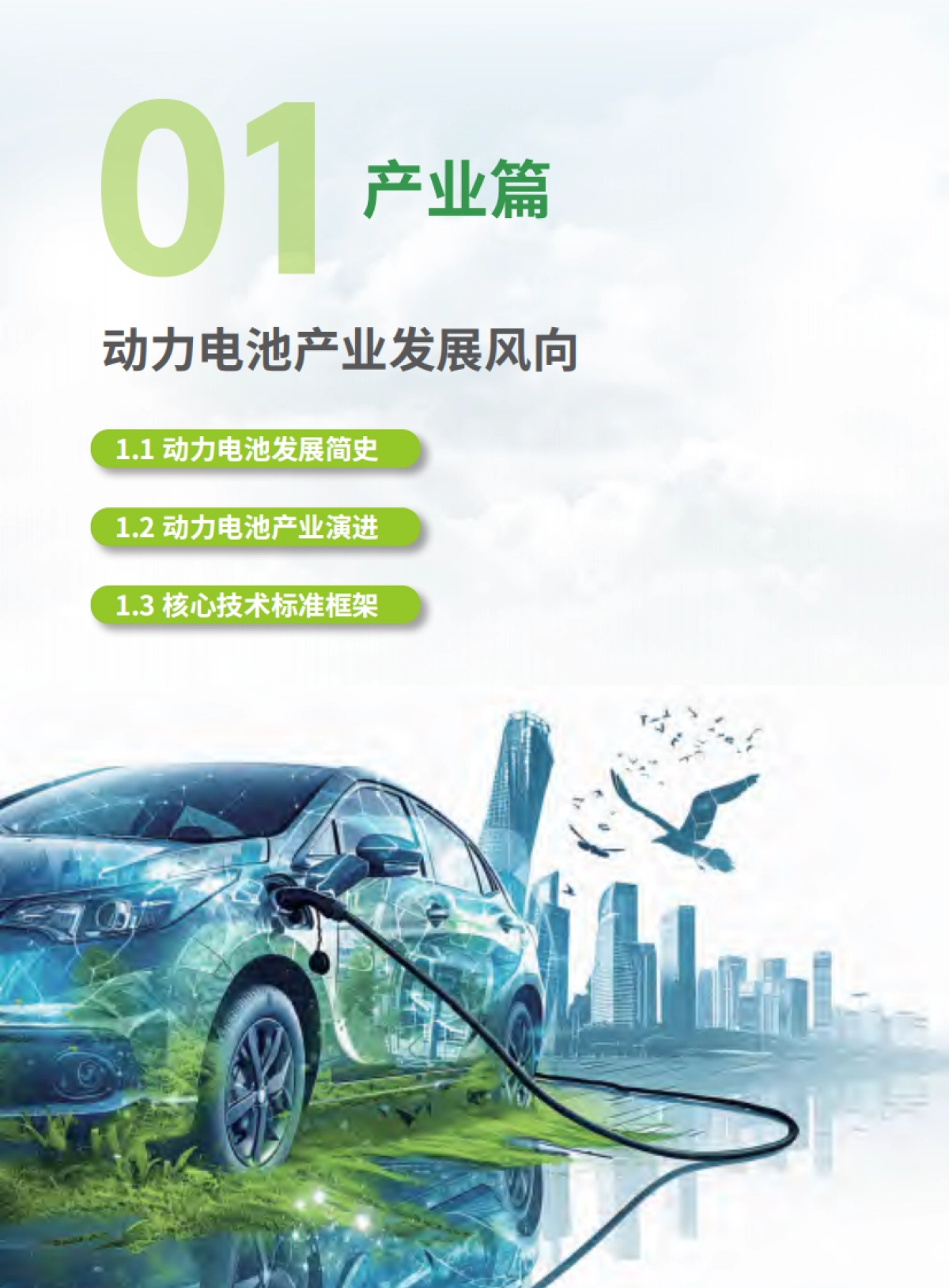 2025新能源汽车动力电池保险创新白皮书_第8页