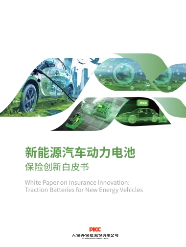 2025新能源汽车动力电池保险创新白皮书