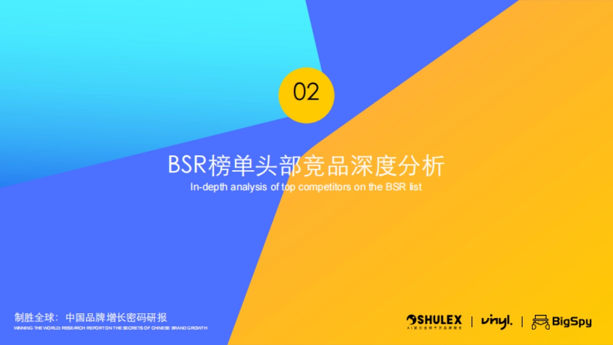 2025年3D打印机出海趋势与营销洞察白皮书_第5页