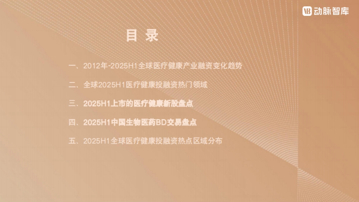 2025年H1全球医疗健康产业资本报告_第5页
