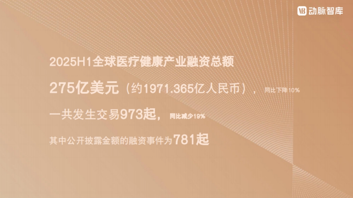 2025年H1全球医疗健康产业资本报告_第6页