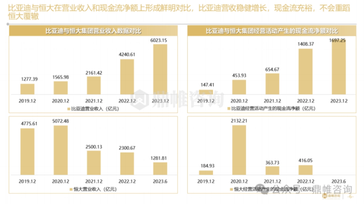 2025年比亚迪乘用车发展战略研究报告_第6页