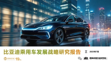 2025年比亚迪乘用车发展战略研究报告