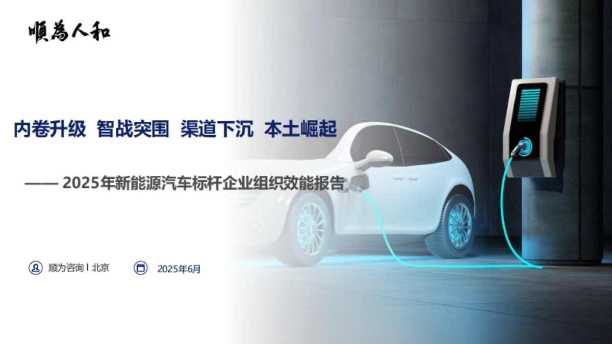 2025年新能源汽车行业标杆企业效能报告-顺为咨询_第1页