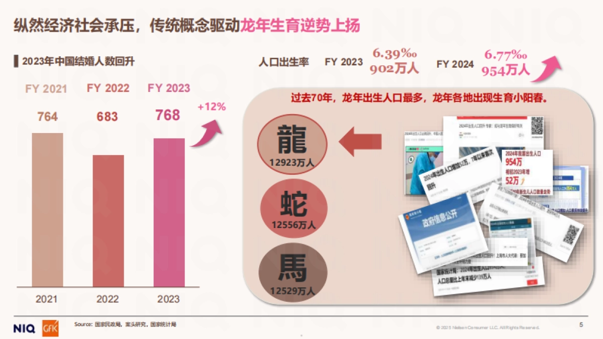 母婴市场回顾报告洞悉周期穿越周期-尼尔森_第5页