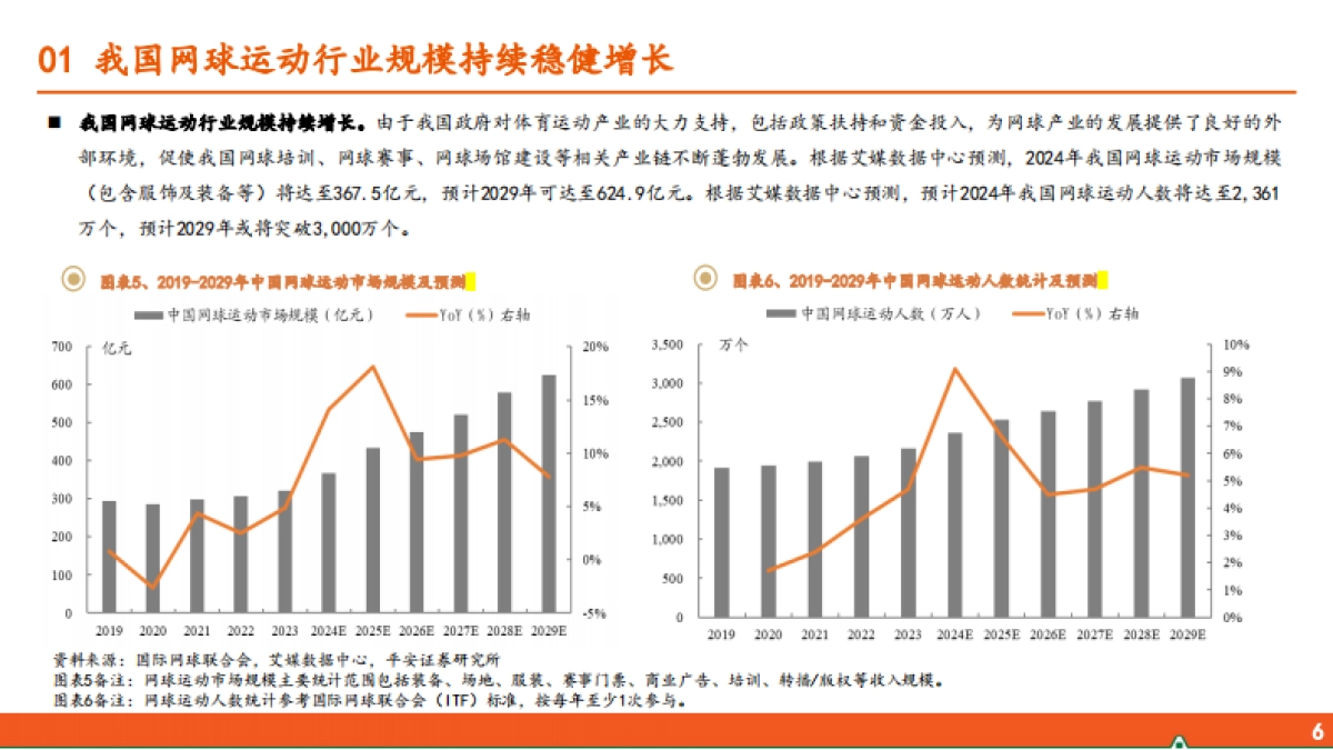 运动户外专题系列-五-：网球运动行业全景图-平安证券_第6页