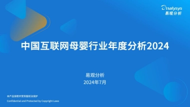 中国互联网母婴行业年度分析