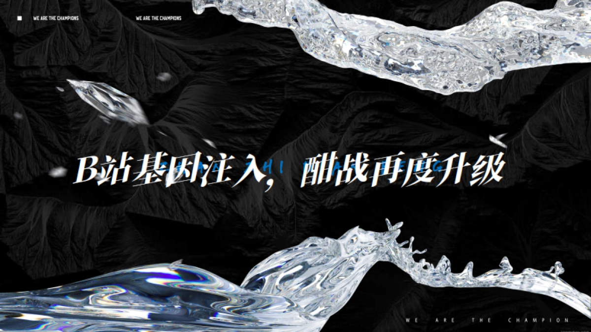 2025《B站峡谷团战夜》招商通案_第8页