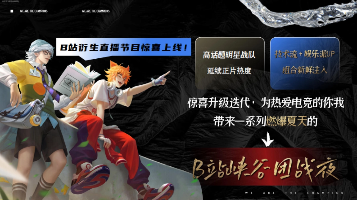 2025《B站峡谷团战夜》招商通案_第9页