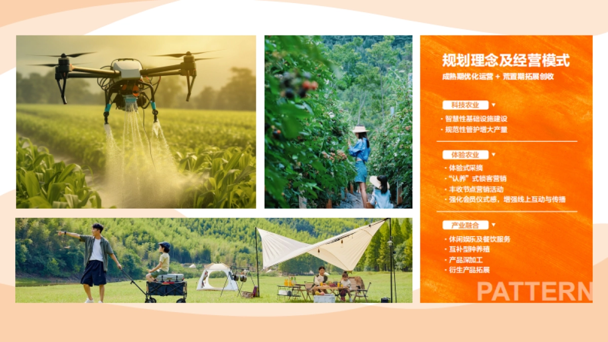 2024四川广元仙和甜柿现代化农业园农产品文旅规划营销方案_第3页