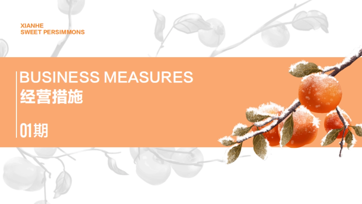 2024四川广元仙和甜柿现代化农业园农产品文旅规划营销方案_第4页