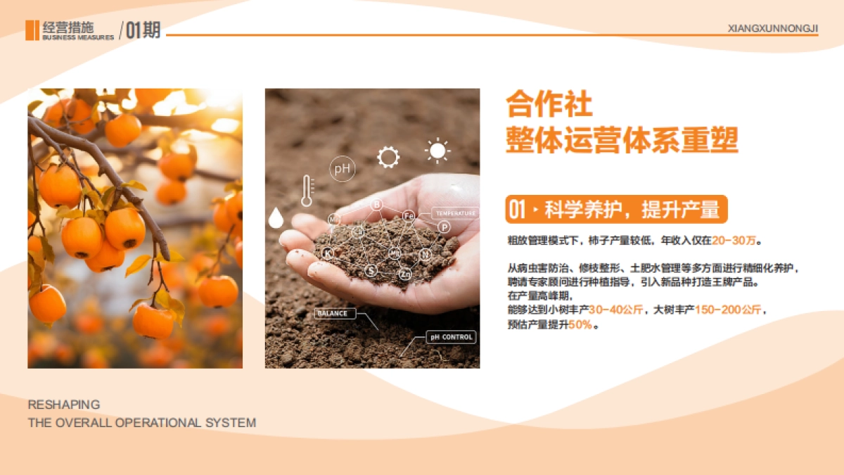 2024四川广元仙和甜柿现代化农业园农产品文旅规划营销方案_第5页