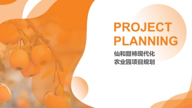 2024四川广元仙和甜柿现代化农业园农产品文旅规划营销方案