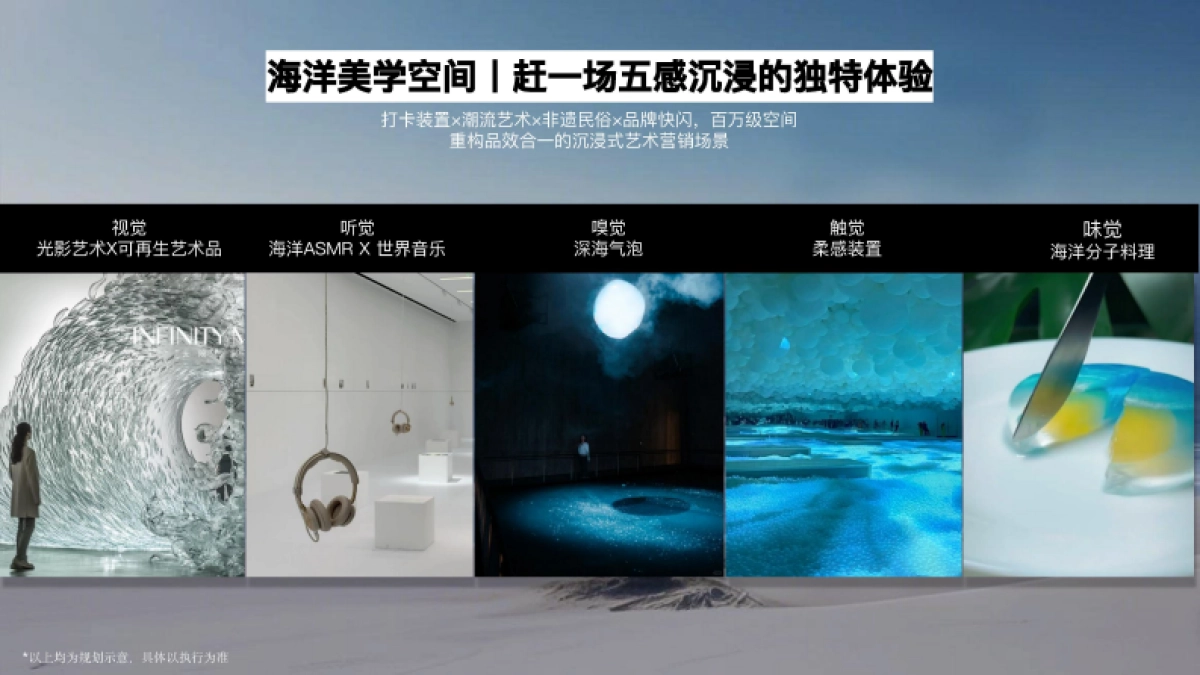 快手《登陆月光岛陵水季》招商方案_第10页