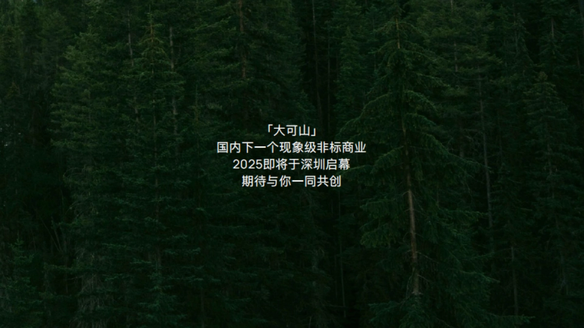 深圳大可山商业招商手册_第2页