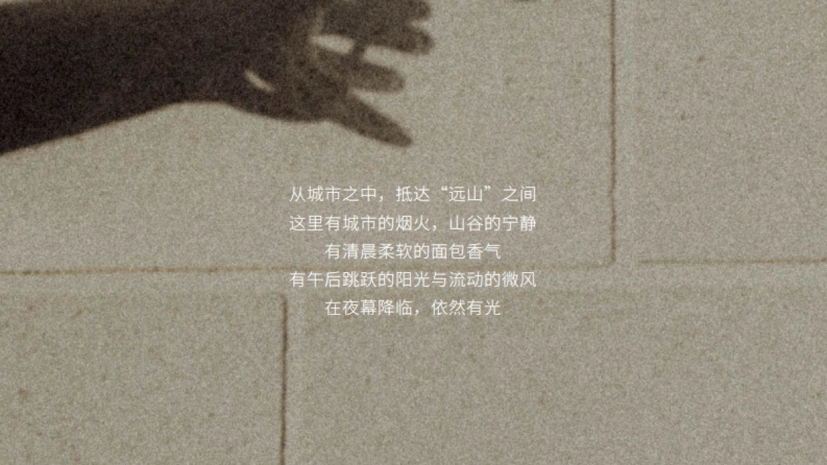 深圳大可山商业招商手册_第5页