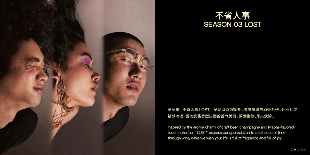 闻献品牌手册_第10页