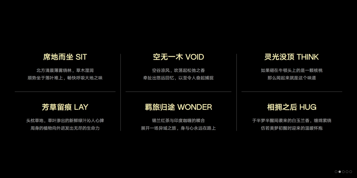 闻献品牌手册_第9页