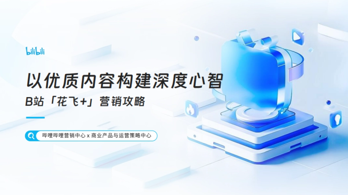 哔哩哔哩2025花飞 营销攻略_第1页
