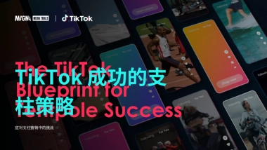 2025TikTok大型活动营销蓝图三大核心挑战与解决策略（英文版）