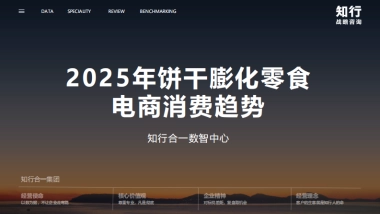 2025年饼干膨化零食电商消费趋势报告