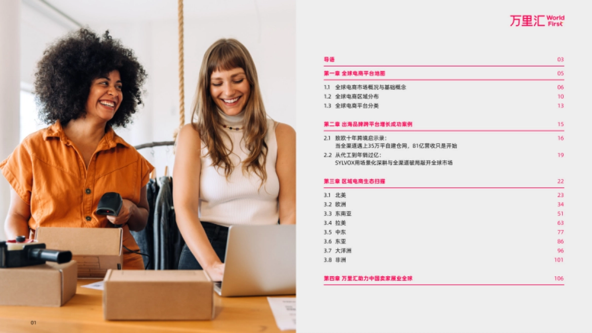 2025年全球电商平台概览报告_第2页