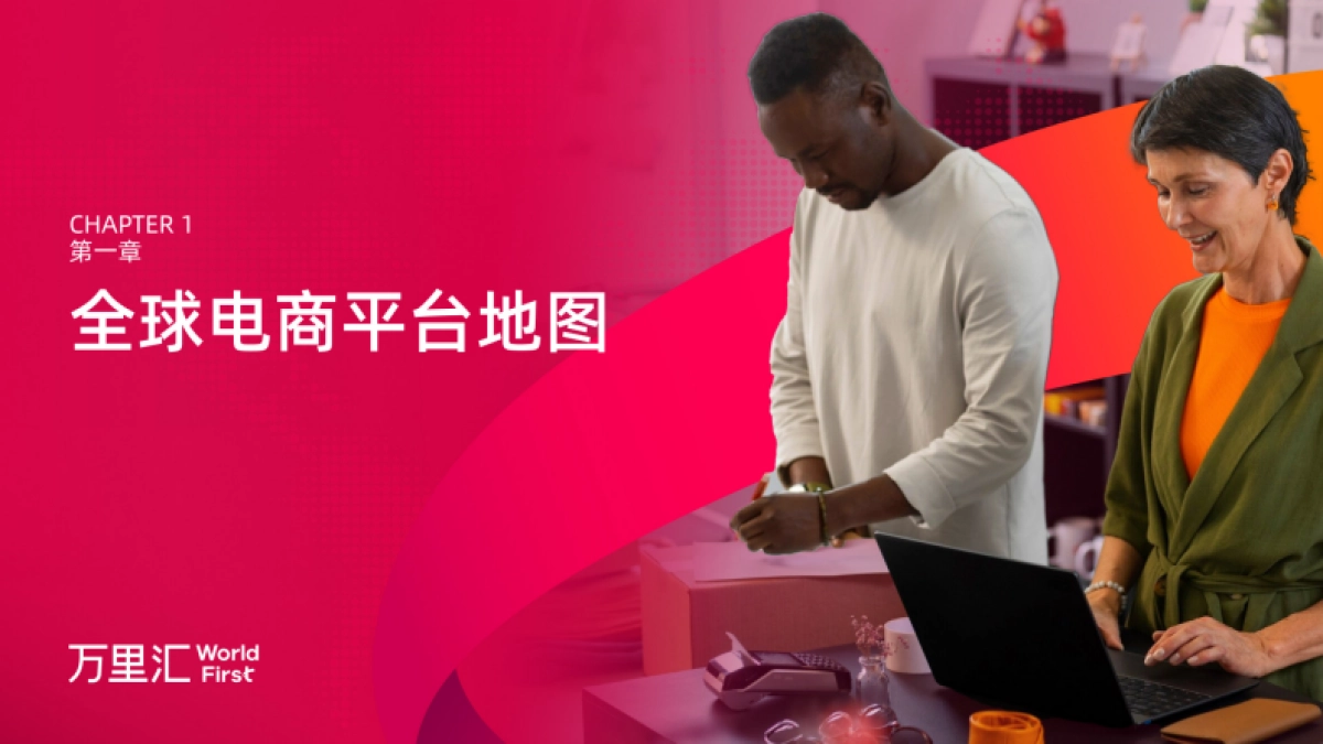 2025年全球电商平台概览报告_第6页