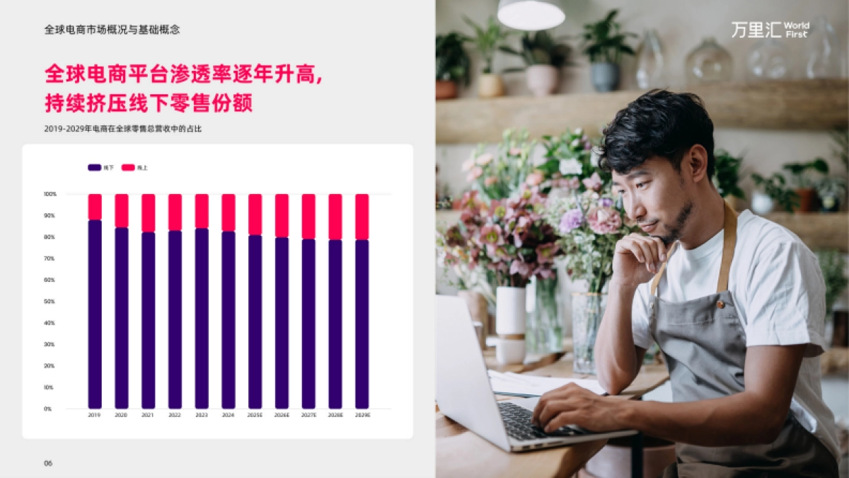 2025年全球电商平台概览报告_第7页