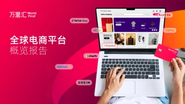 2025年全球电商平台概览报告