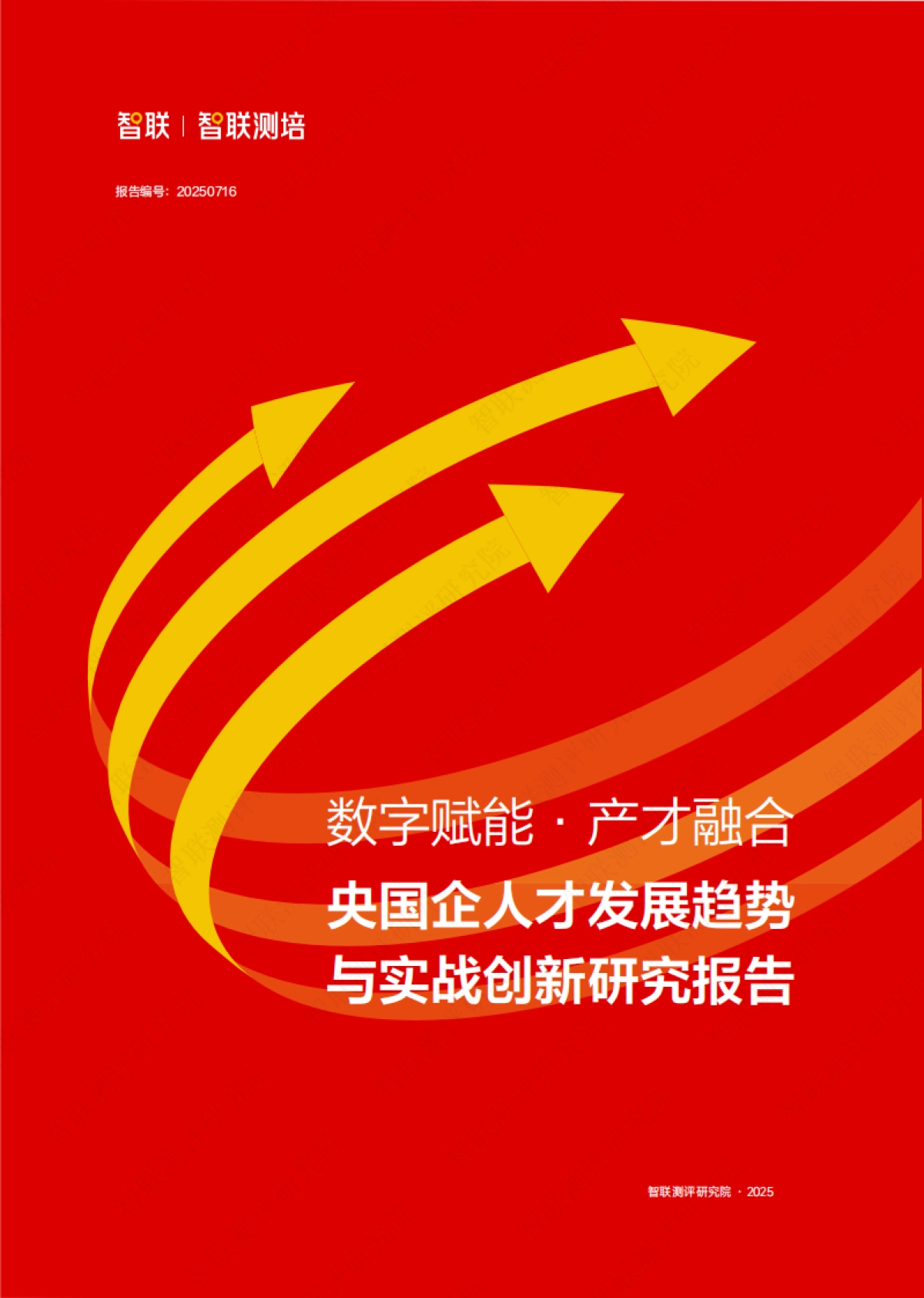 2025年央国企人才发展趋势与实战创新研究报告_第1页