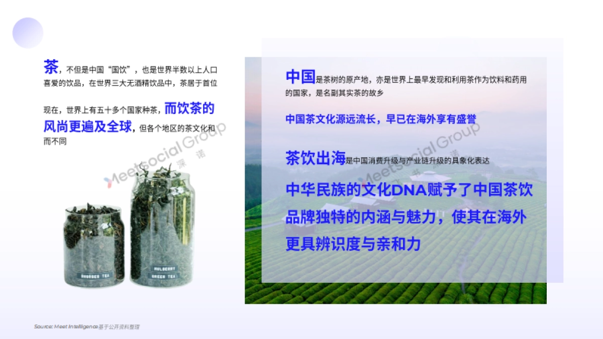 2025年中国茶饮出海全景报告_第10页
