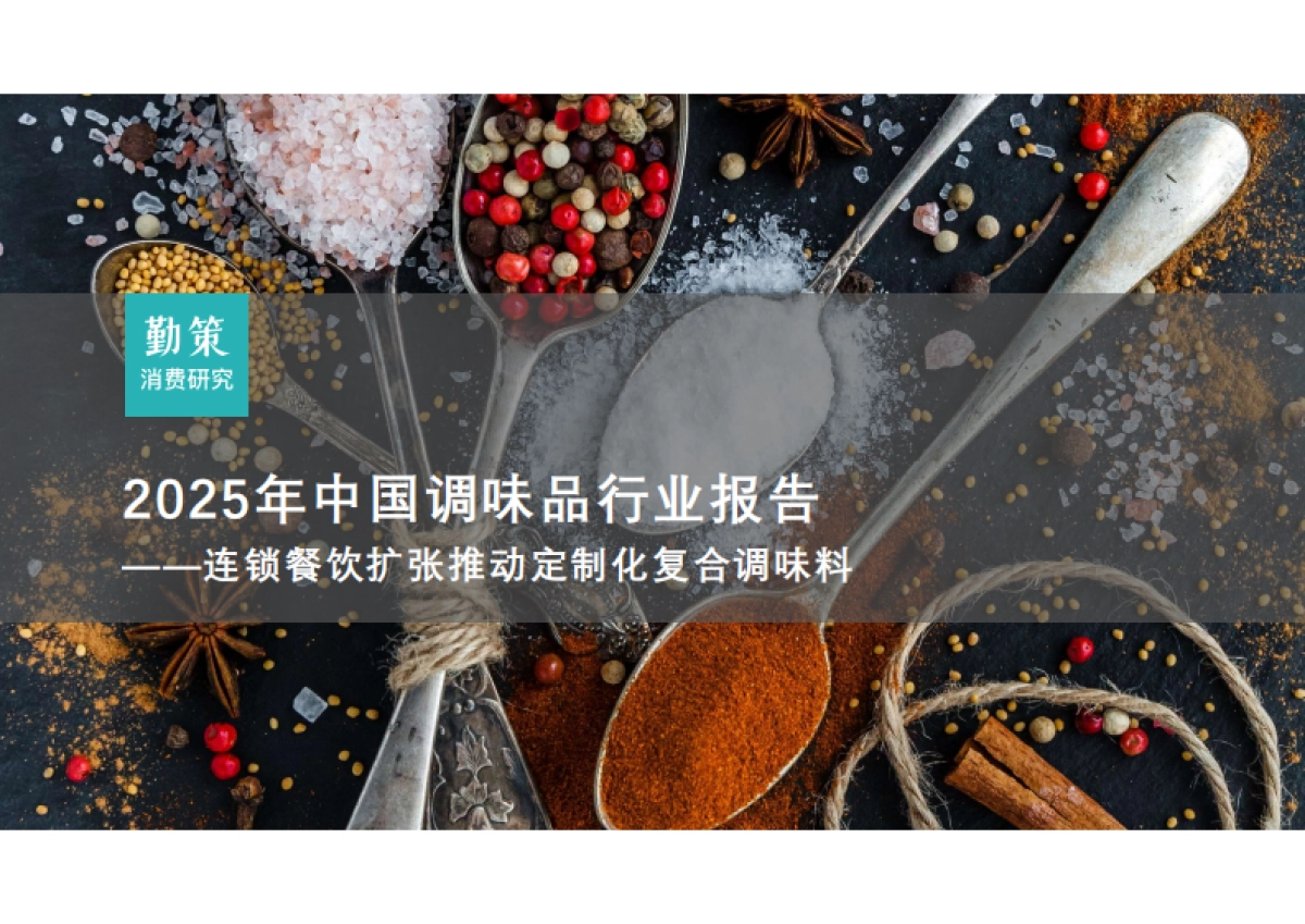 2025年中国调味品行业报告-勤策消费研究_第1页