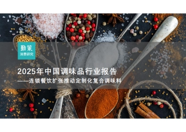 2025年中国调味品行业报告-勤策消费研究