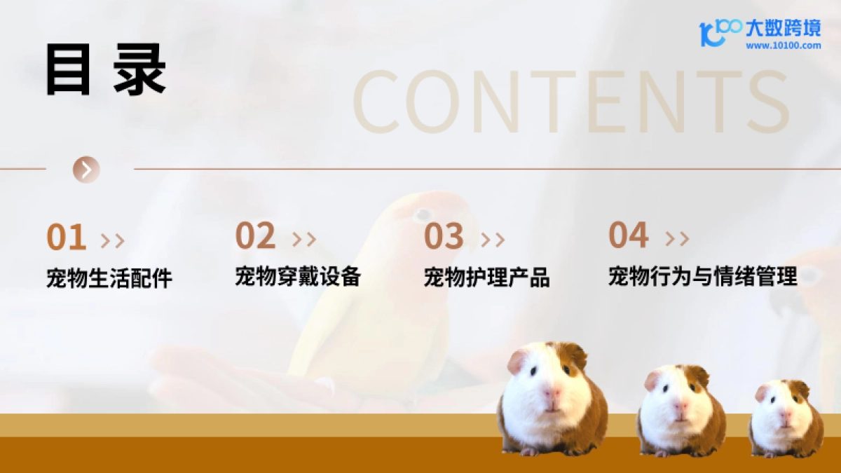 2025新兴宠物用品市场洞察报告_第3页