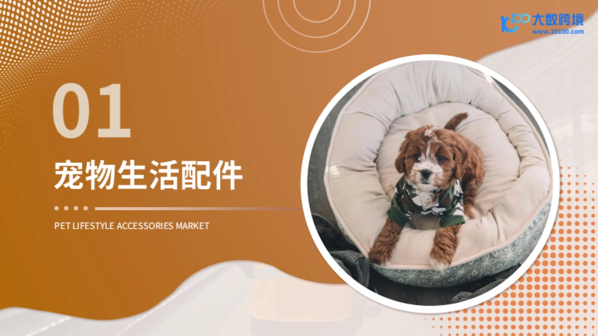 2025新兴宠物用品市场洞察报告_第4页