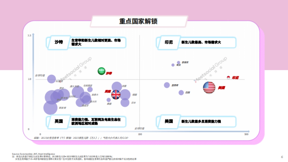 母婴行业出海白皮书_第6页