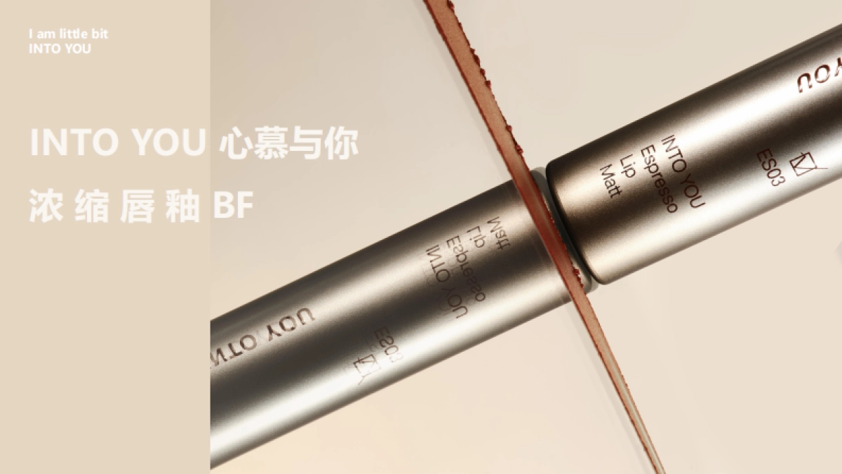 妆牌唇釉产社交媒体传播brief方案_第1页