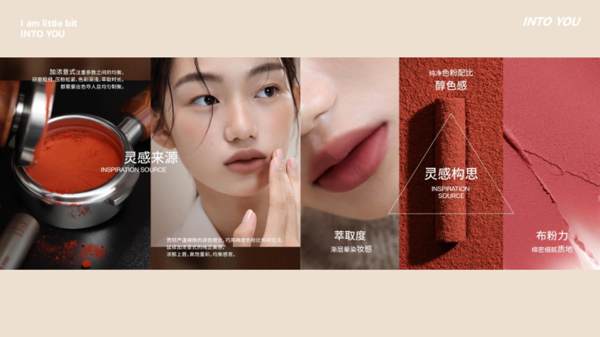 妆牌唇釉产社交媒体传播brief方案_第2页