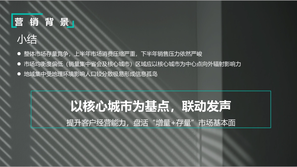 GAS-领克汽车滇黔桂区域年度活动营销策划方案_第7页