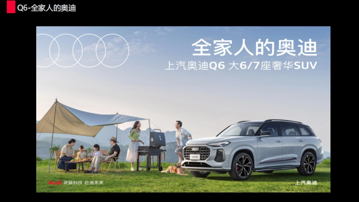 上汽奥迪区域年度营销方案_第10页