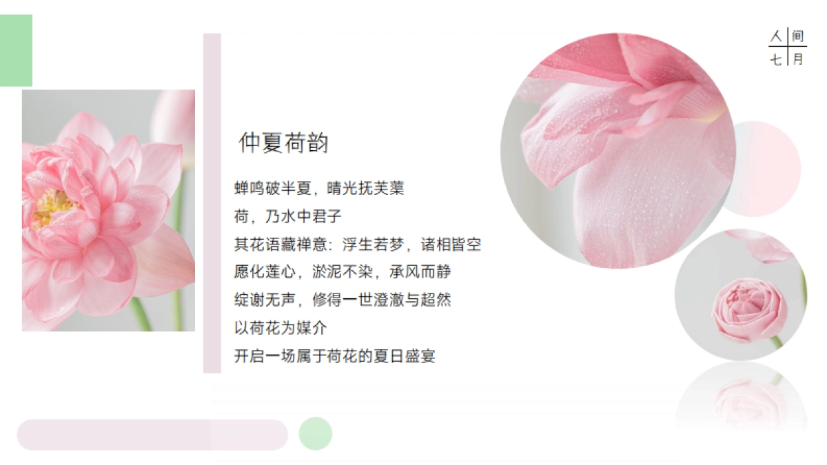 夏日荷花主题汉服体验荷花插花美食饮品赏鉴活动方案_第2页