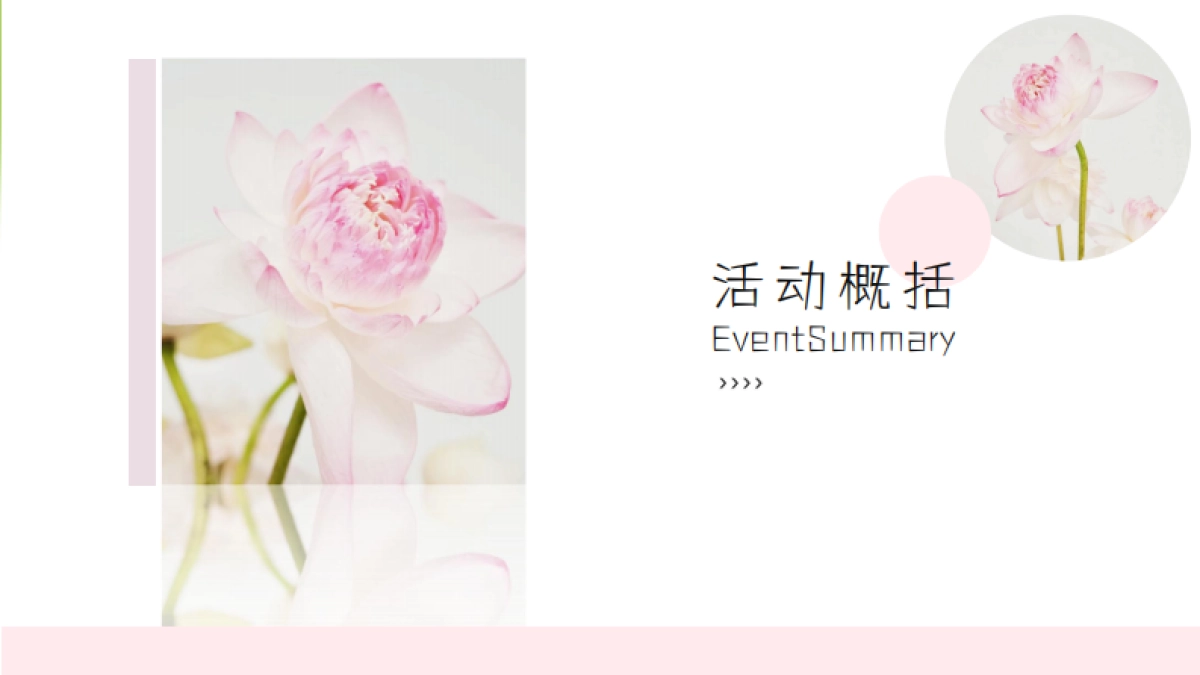 夏日荷花主题汉服体验荷花插花美食饮品赏鉴活动方案_第3页