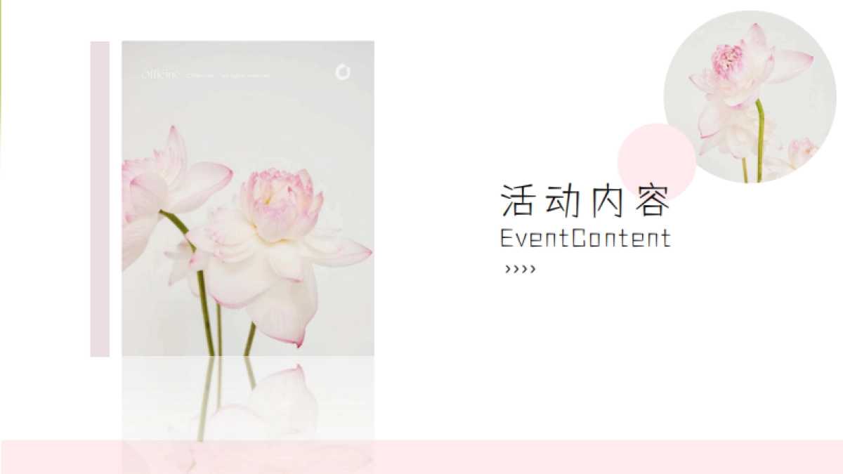 夏日荷花主题汉服体验荷花插花美食饮品赏鉴活动方案_第5页