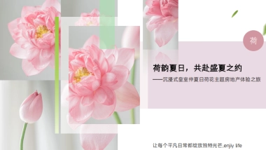 夏日荷花主题汉服体验荷花插花美食饮品赏鉴活动方案