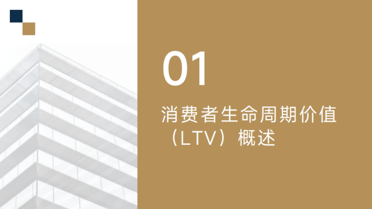 消费者生命周期价值（LTV）在快消品牌会员体系中的应用策略_第2页