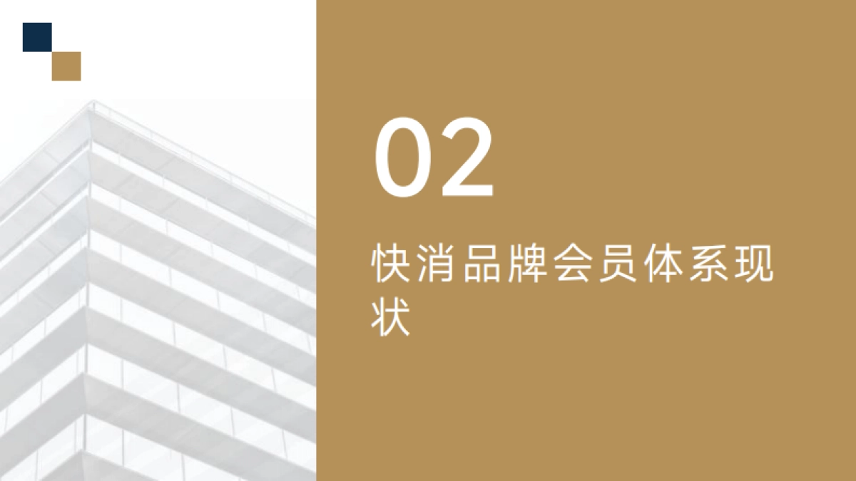 消费者生命周期价值（LTV）在快消品牌会员体系中的应用策略_第6页