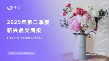 2025年第二季度「新兴品类」简报（小红书平台）