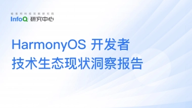 2025年HarmonyOS开发者技术生态现状洞察报告