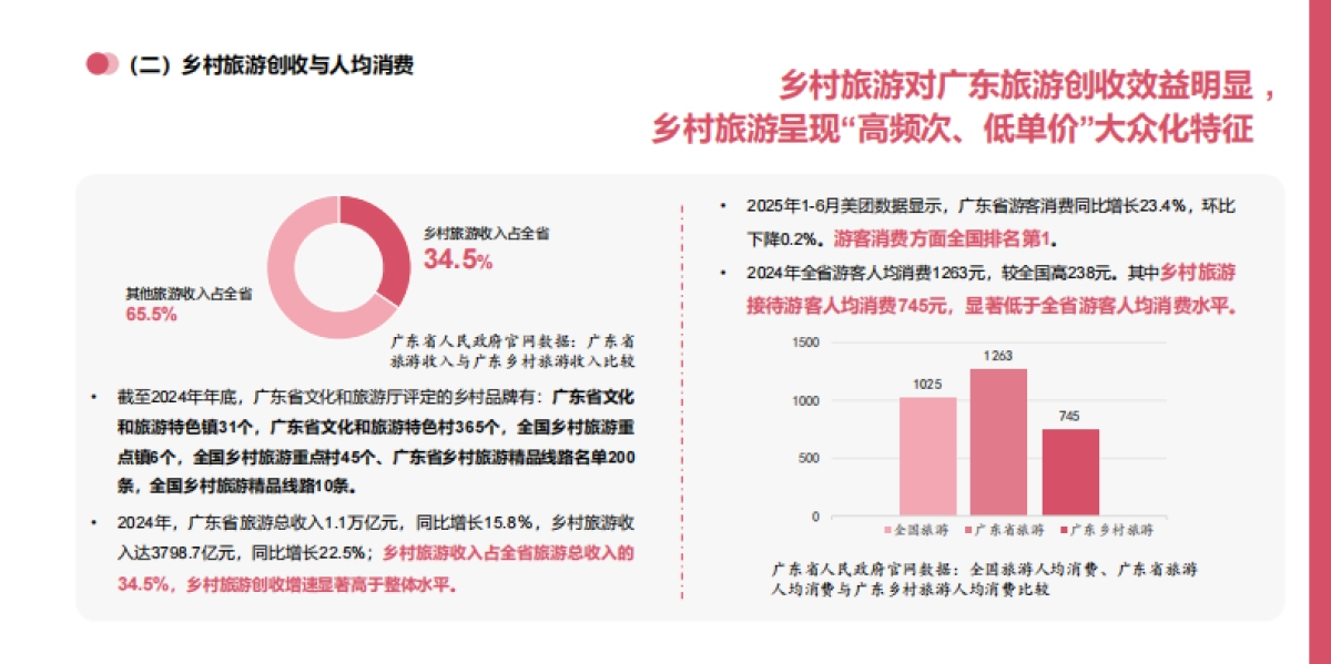 2025年广东省乡村旅游消费趋势报告_第6页